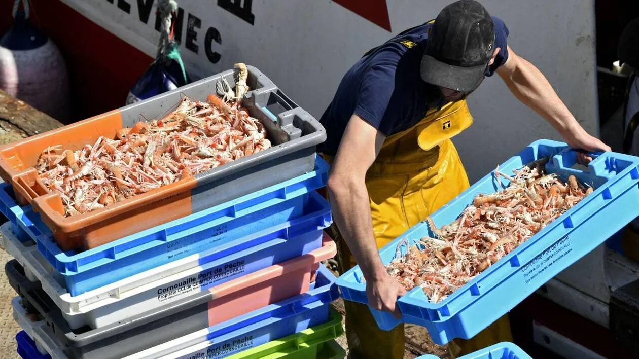 Moins de poissons dans les criées du Sud-Finistère : les ventes et les effectifs revus à la baisse (OF.fr-26/04/24)