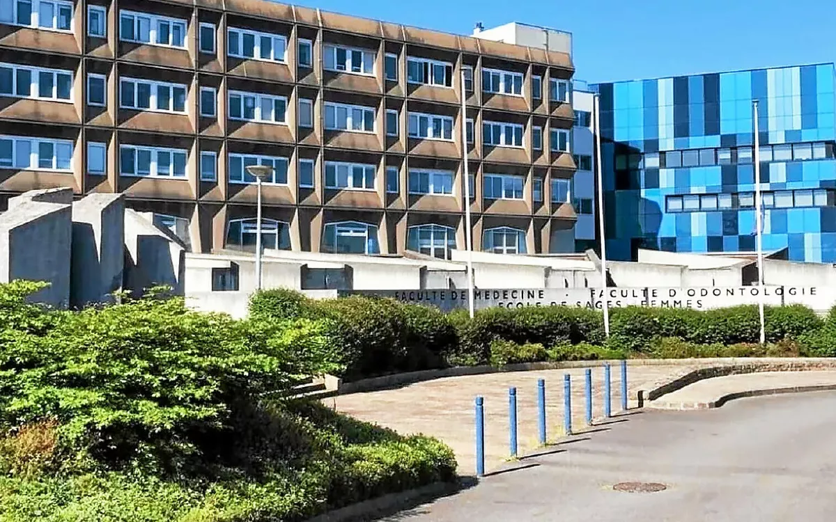 Il ne reste que quelques jours pour soutenir financièrement les étudiants dentistes brestois (LT.fr-13/05/24)