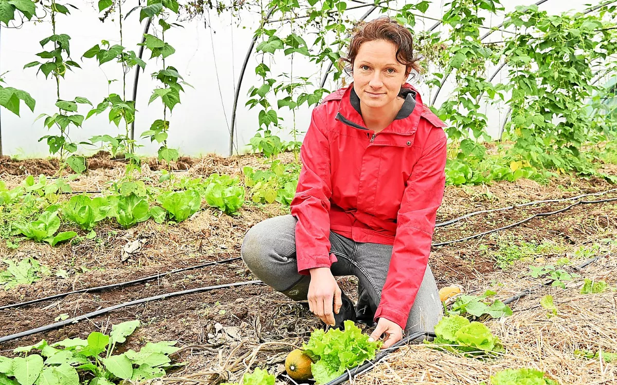 Un an après Ciaran, les agriculteurs bio n’ont pas encore tous perçu les aides (LT.fr-8/11/24)