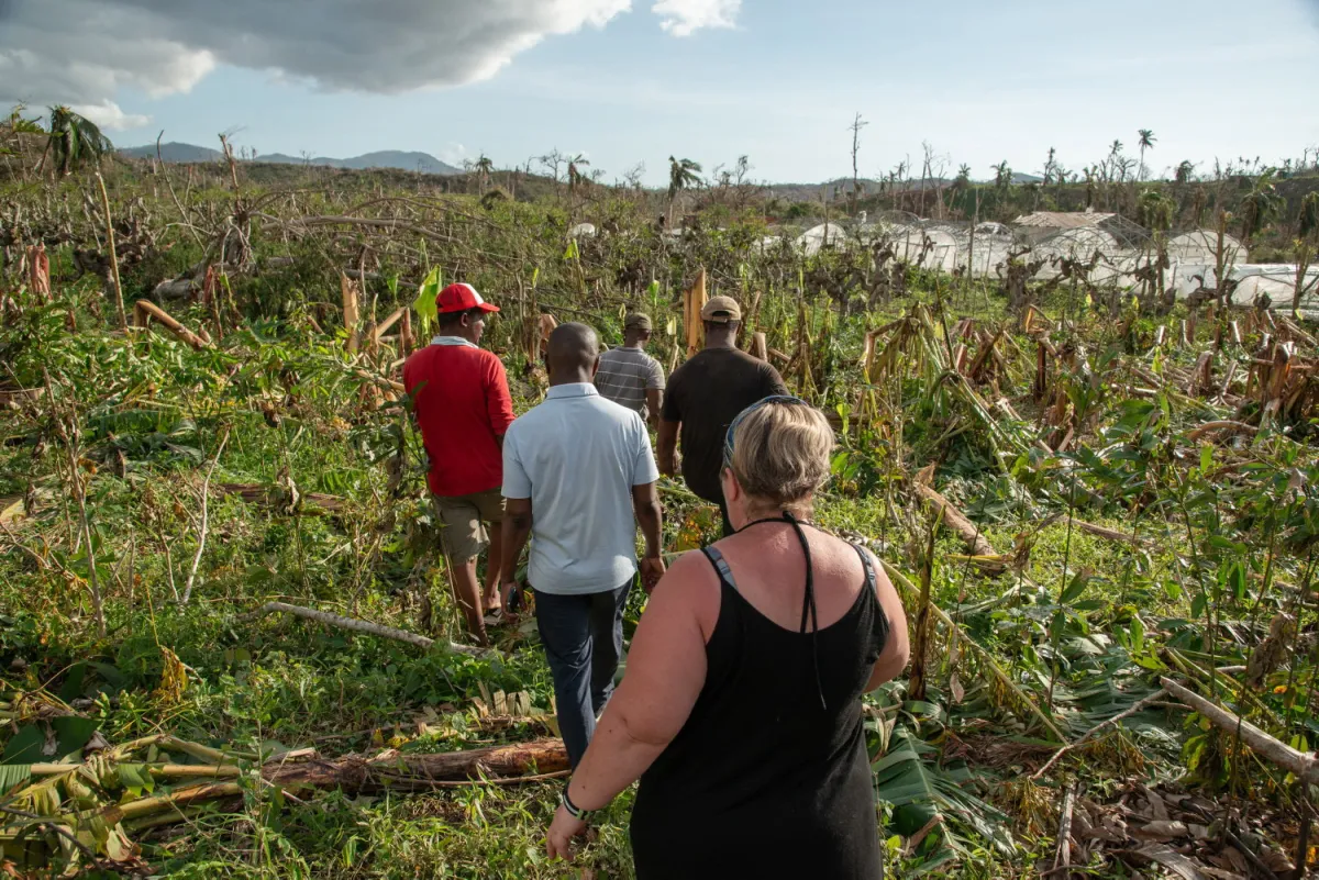 Mayotte, modèle agricole : la Confédération paysanne fait entendre sa différence (H.fr-8/01/25)