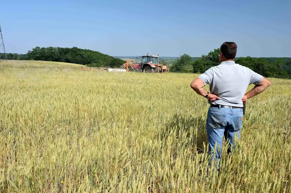 Élections aux chambres d’agriculture : « Les salariés agricoles ne doivent pas se faire voler leurs voix », alerte la CGT agriculture-agroalimentaire (H.fr-17/01/25)