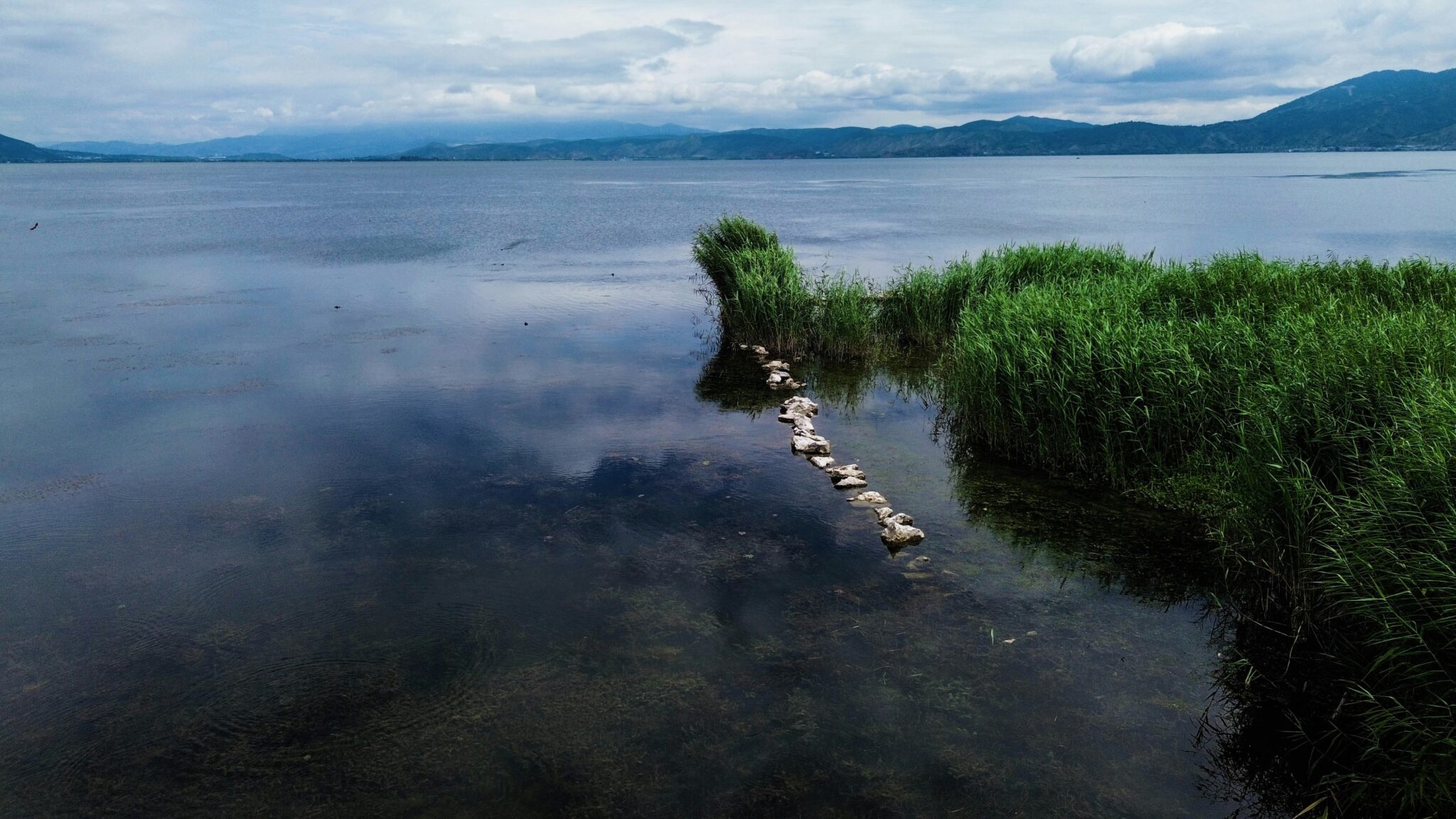 Faire refleurir le lac Erhai : une histoire de la transformation écologique de la Chine. (Peoples Dispatch – 18/02/25)