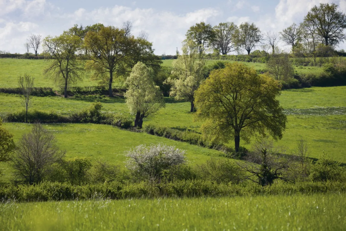 Pour calmer l’agriculture intensive, le gouvernement s’attaque aux haies et hypothèque la biodiversité (H.fr-3/02/25)