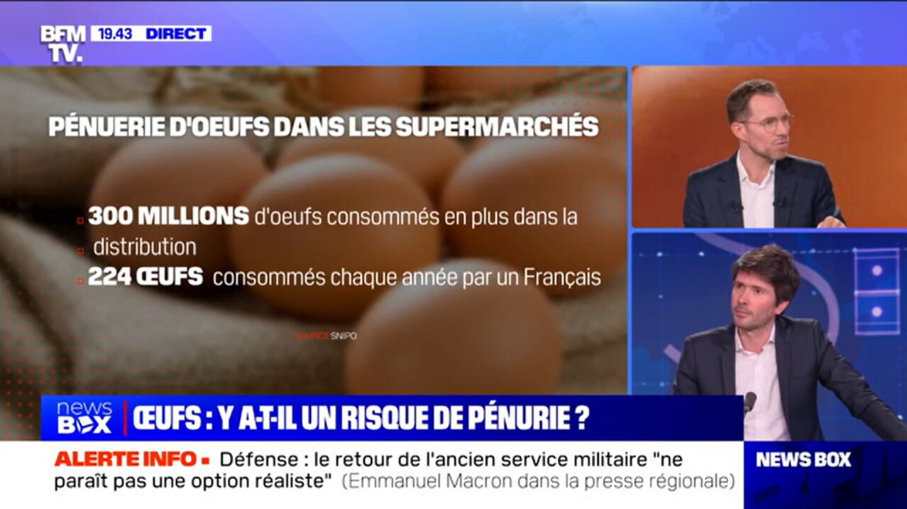 Pénurie d’oeufs : la faute aux musulmans, selon BFM TV (LI.fr-18/03/25)