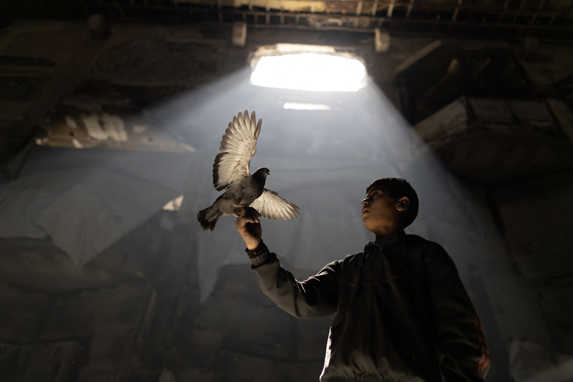« Ce sera une cage dans laquelle nous serons des oiseaux ». (OrientXXI – 08/05/25)