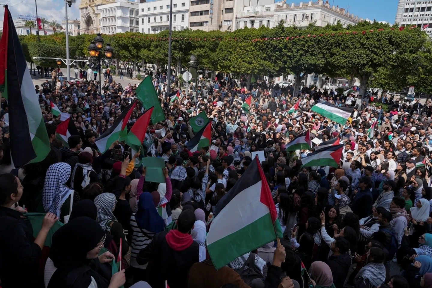 Des Algériens et des Tunisiens en route vers Gaza, des milliers de km pour casser le blocus. (TRT – 06/06/25)